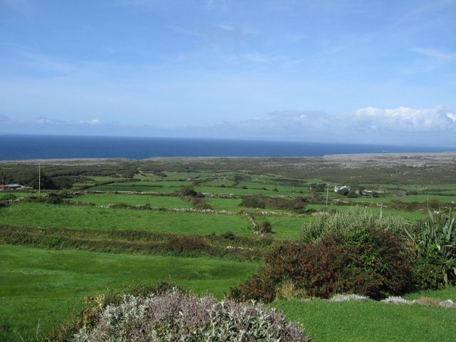 Ireland View